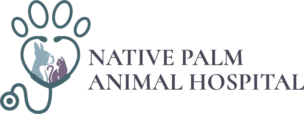 Native Palm Animal Hospital logo