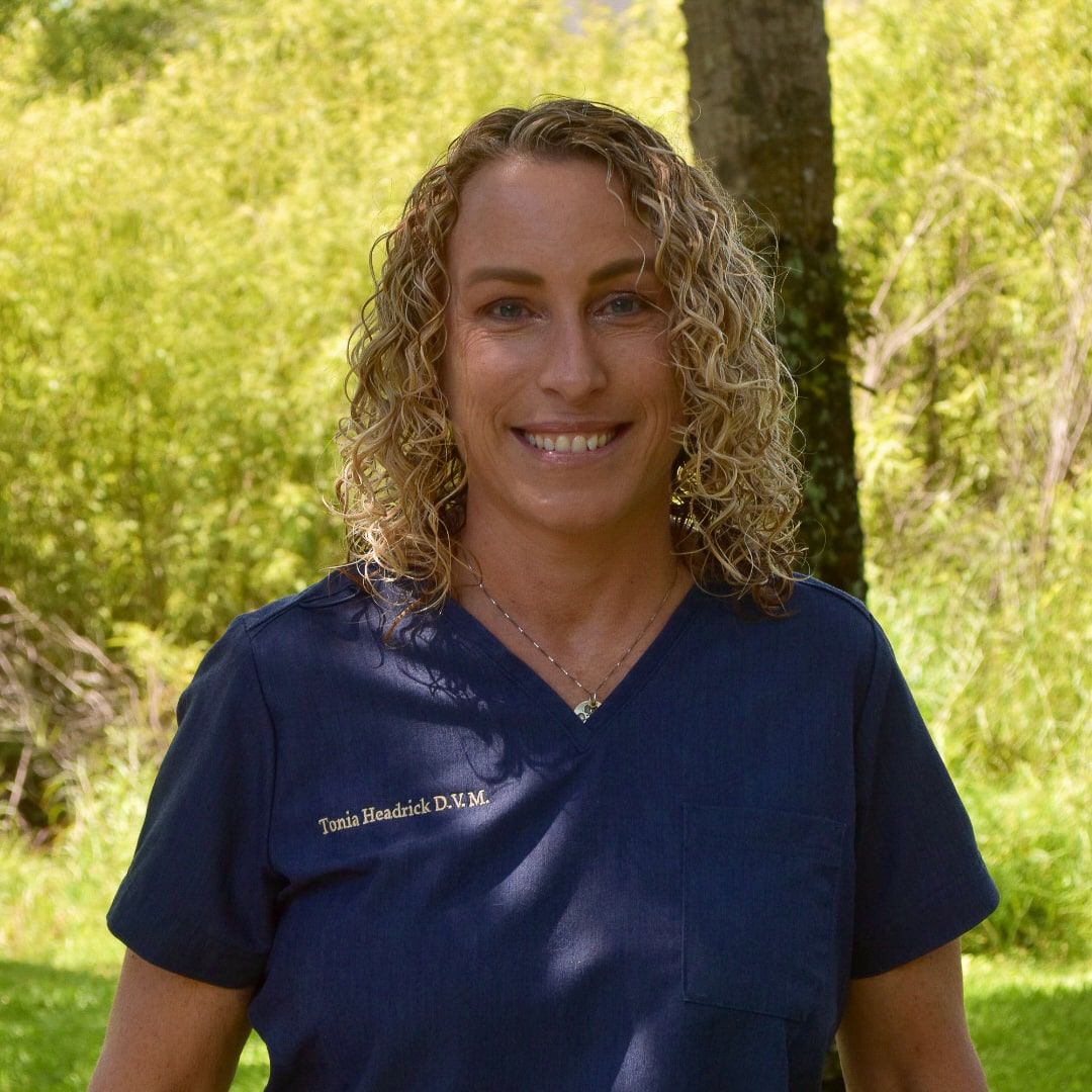 Dr Tonia Headrick